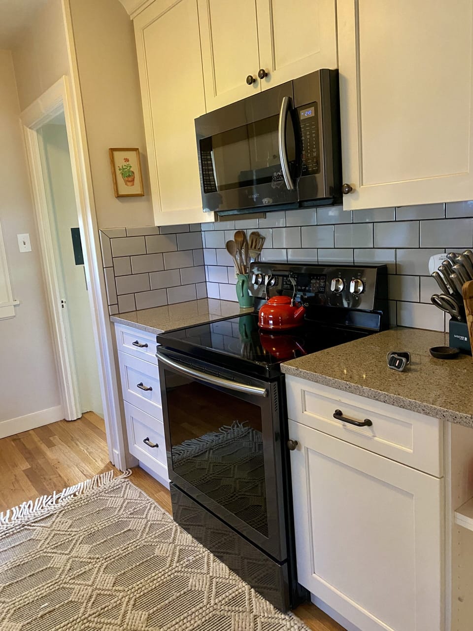 Electric stove and microwave. 