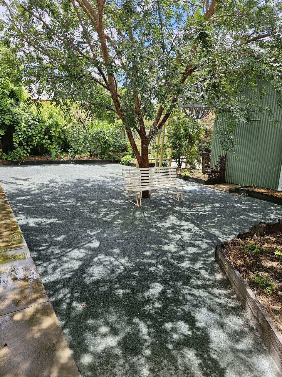 Back Yard