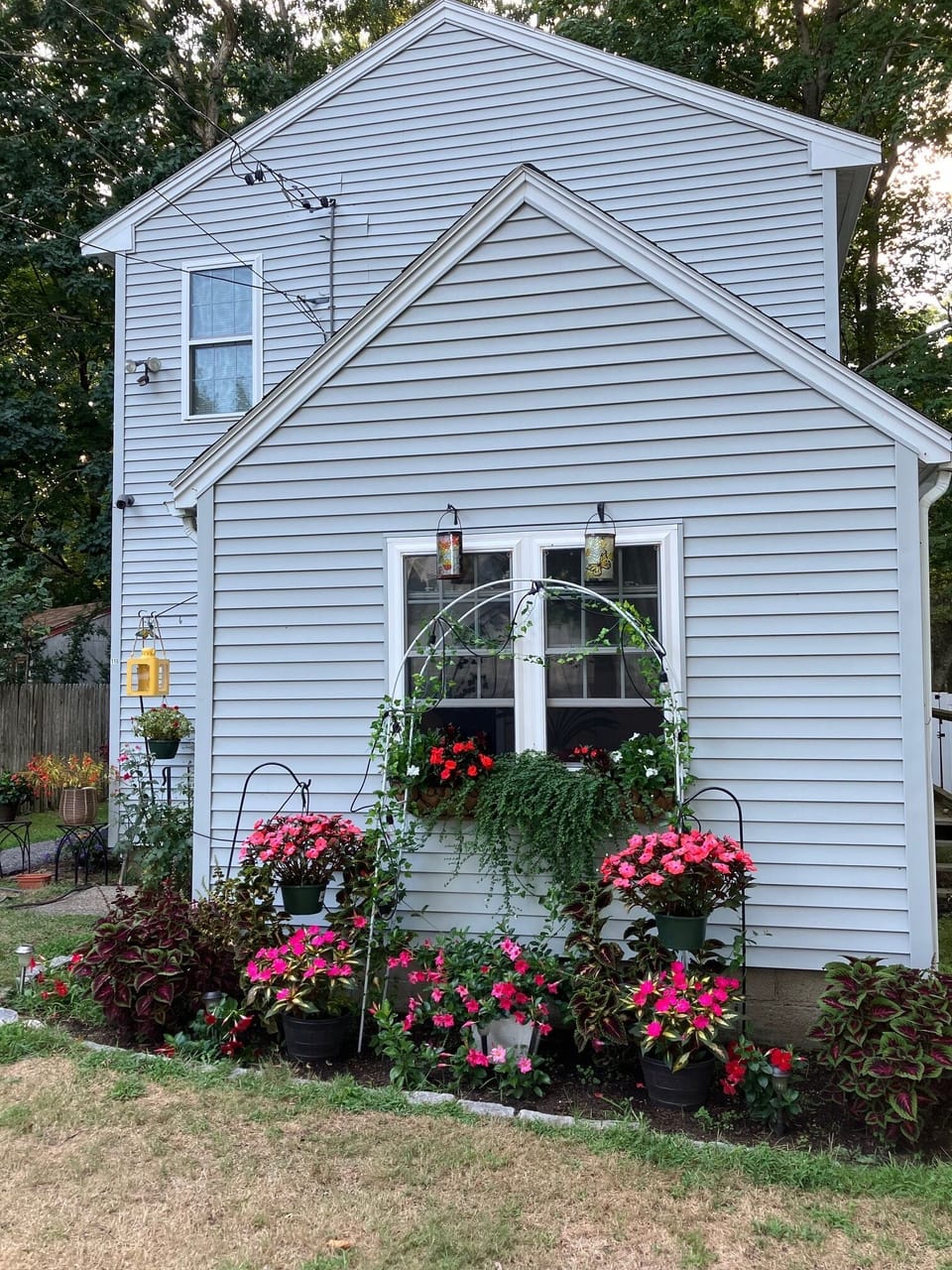 Beautiful flowers around the property