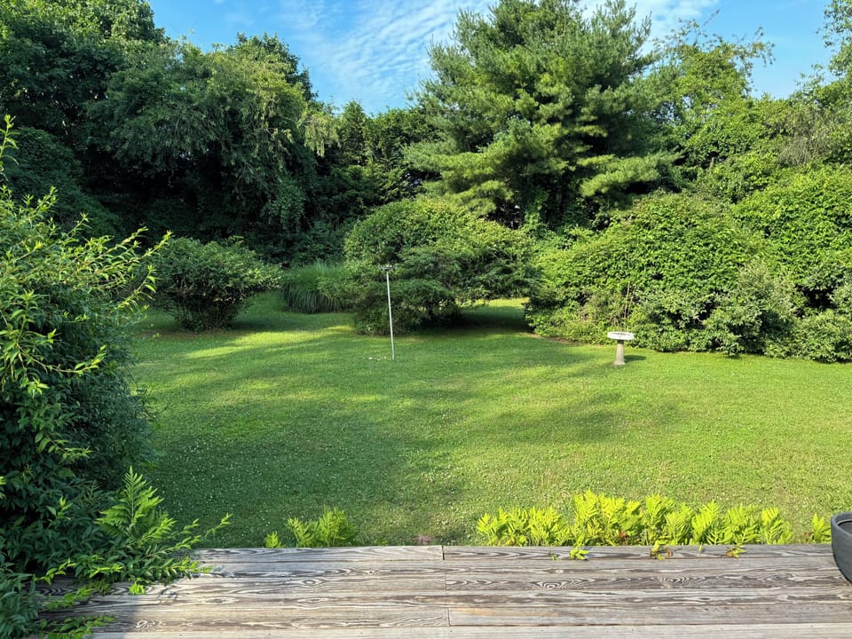 Backyard