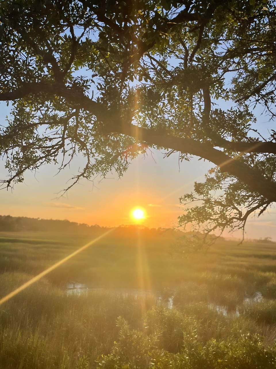 Sunset view from back deck.