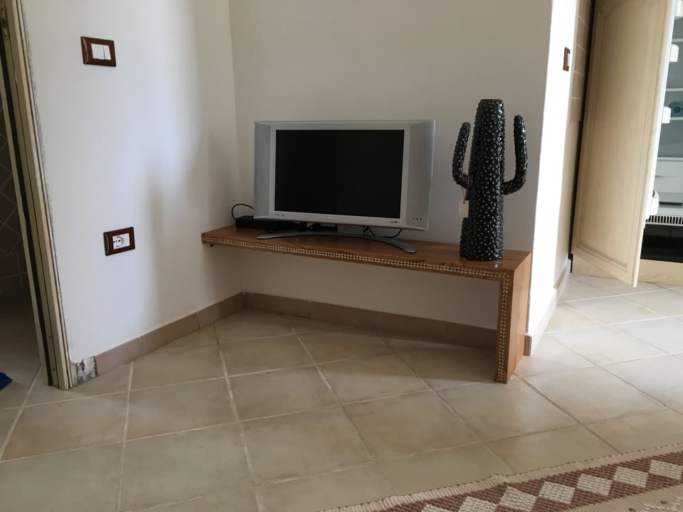 Television