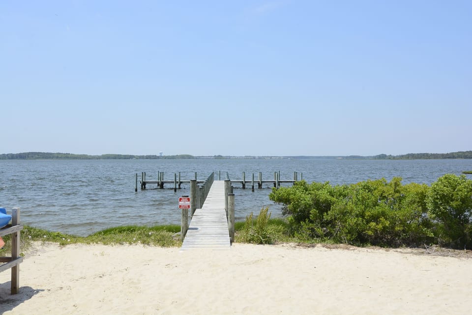 Amenity,Salt Meadows Dock,