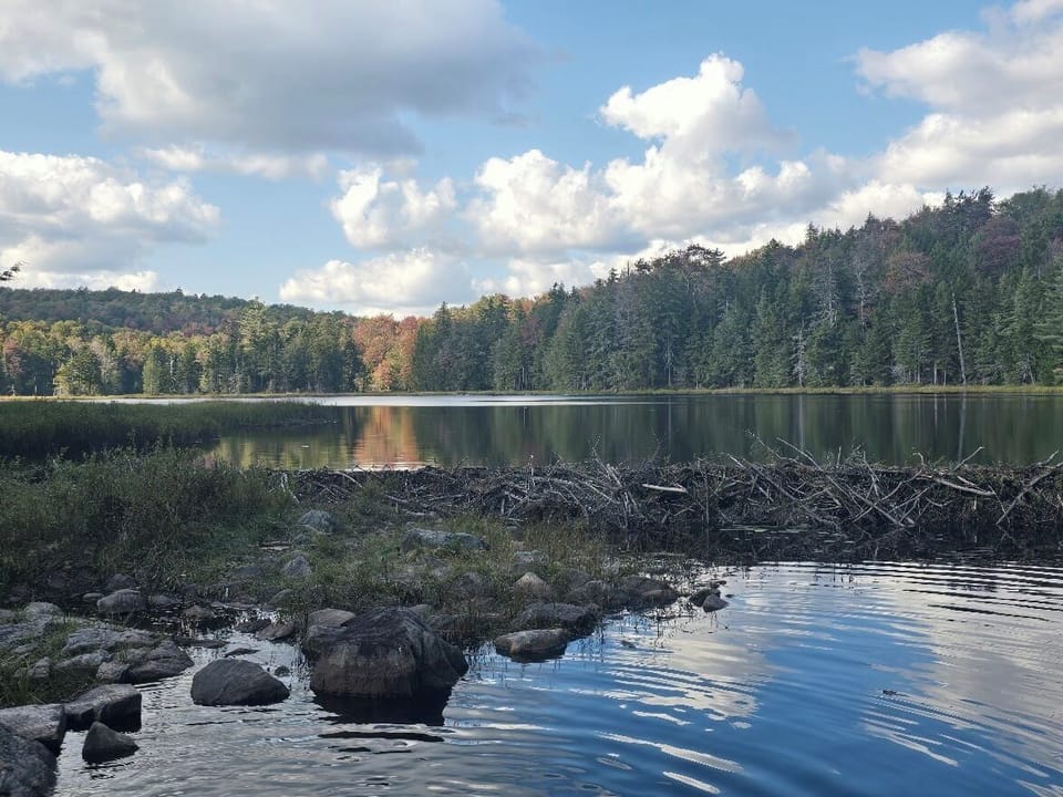 10 lakes within 10 minutes and miles of waterways.