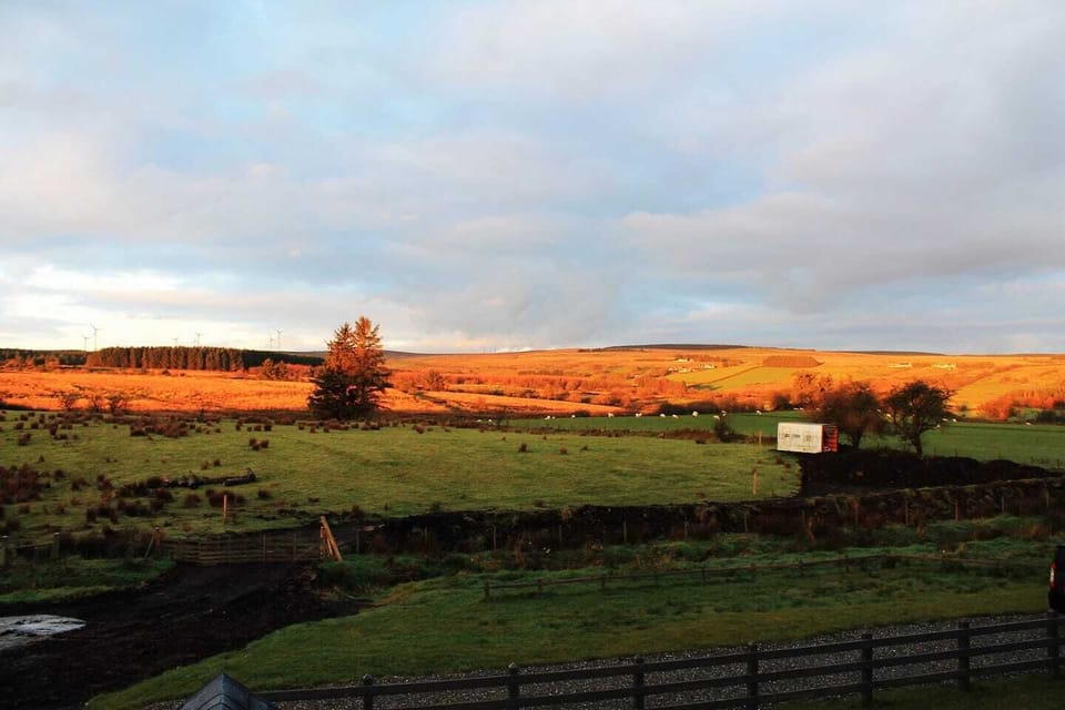 View from dinning room 