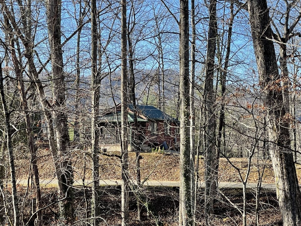 View from a distance