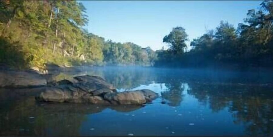 D9a02ccb 3eb7 42b4 b63c 265c14294e14