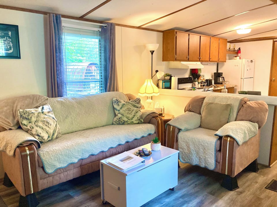 Livingroom couch and loveseat