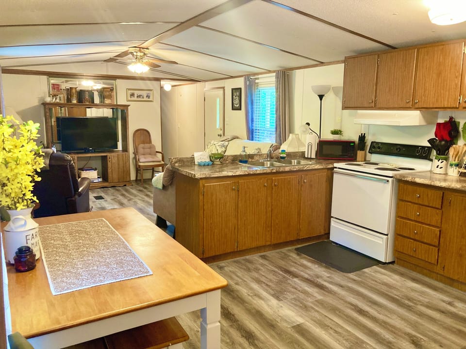 Dining and Kitchen Area