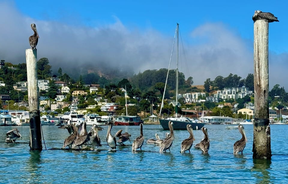 Picture taken while Kayaking 