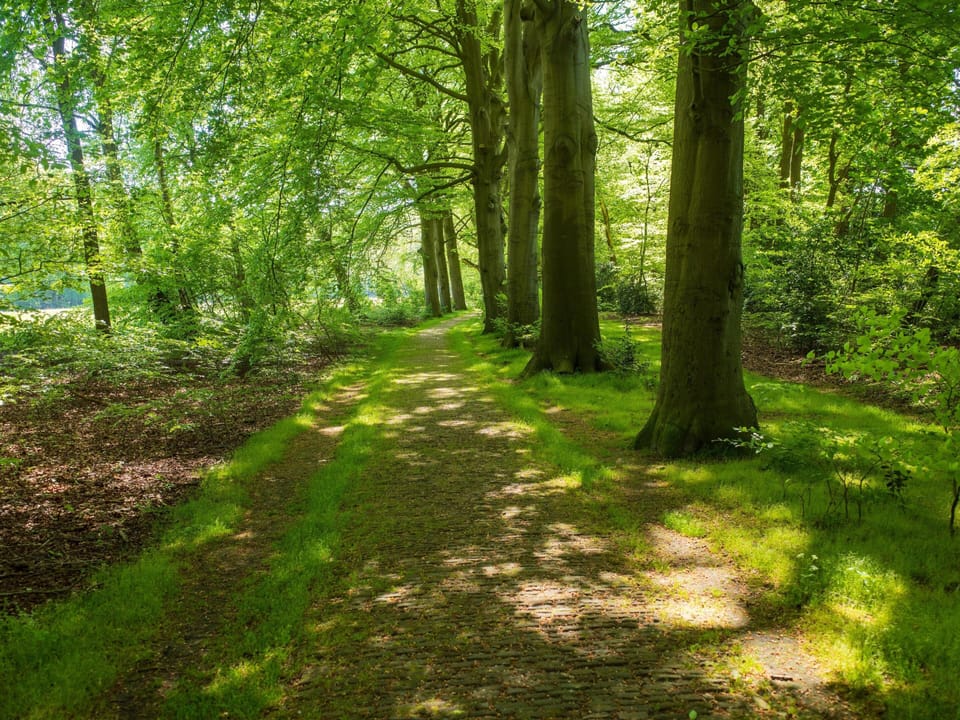 Immediate Surroundings [summer] (<1 km)