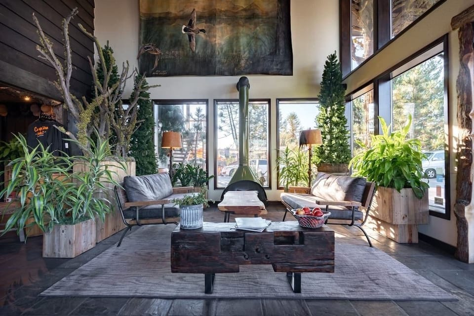 Settle into a cozy lounge with sunlit views and greenery.