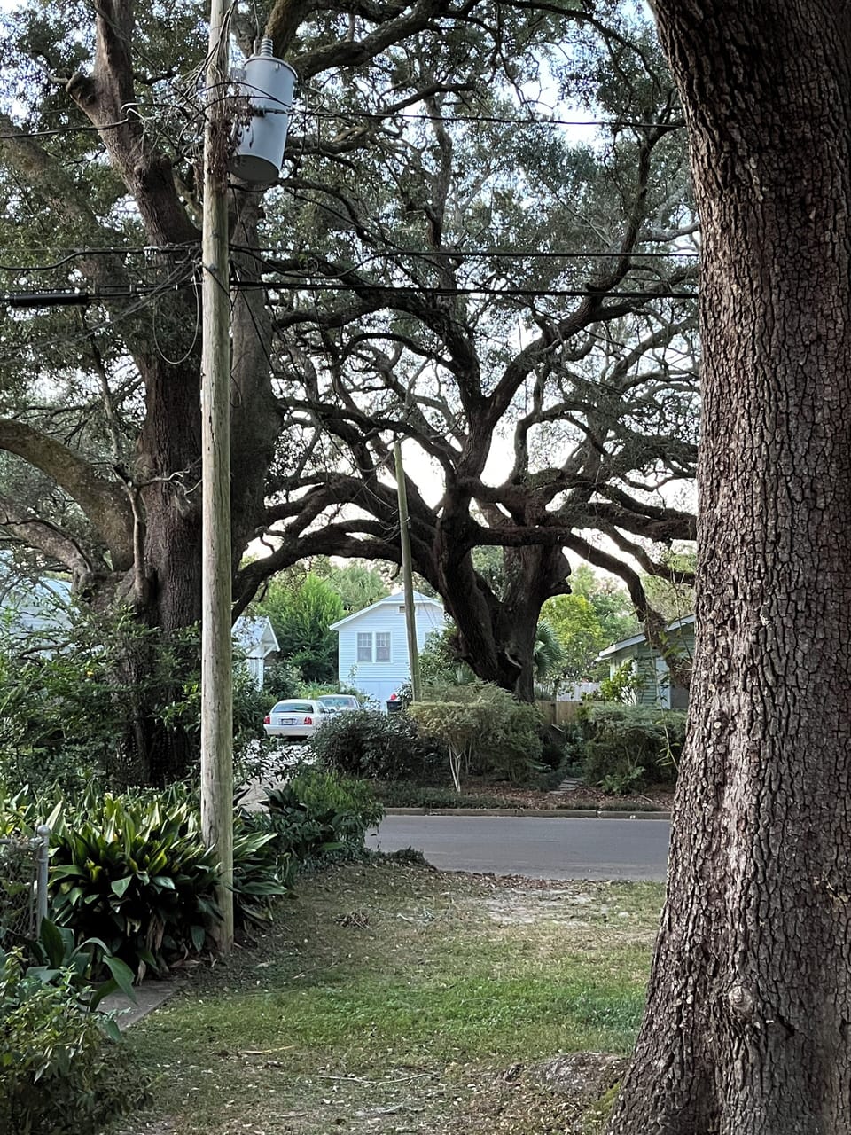 Property grounds