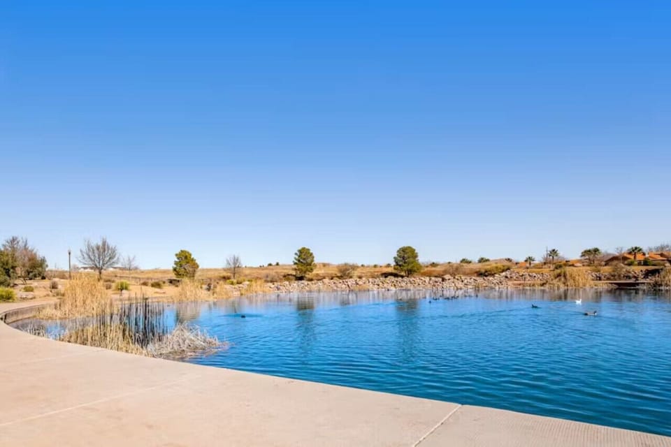 Pond
