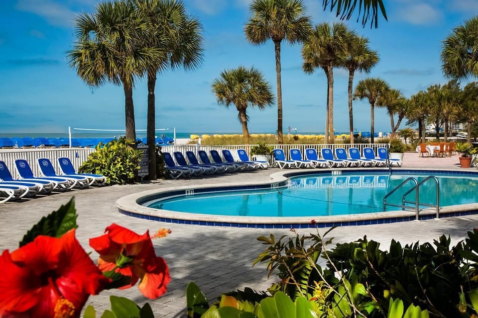 Lounge poolside under palms and feel the ocean breeze.