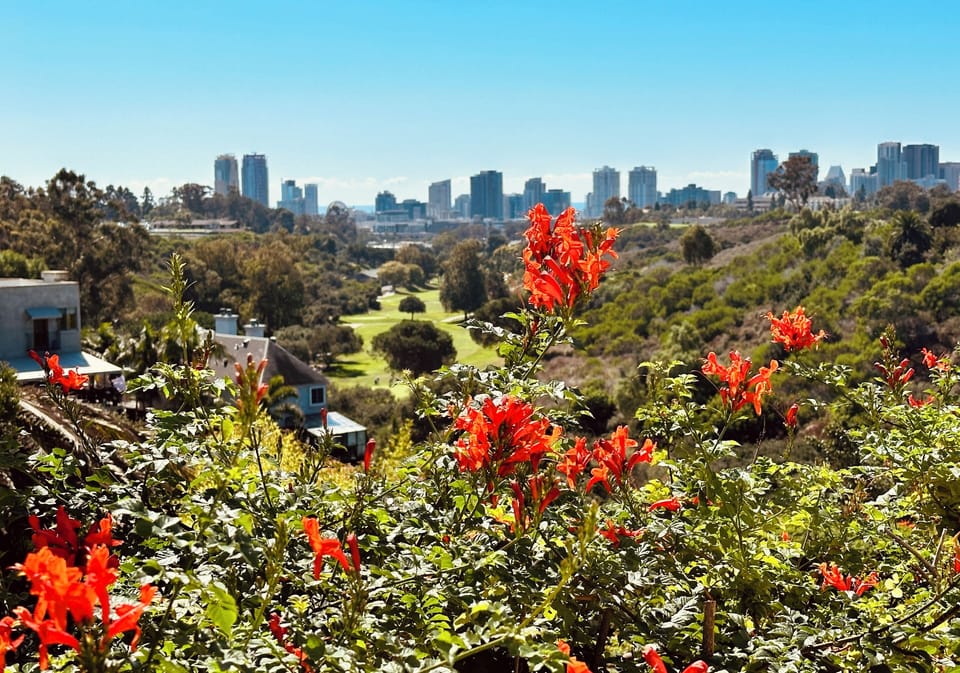 View of downtown from the kitchen