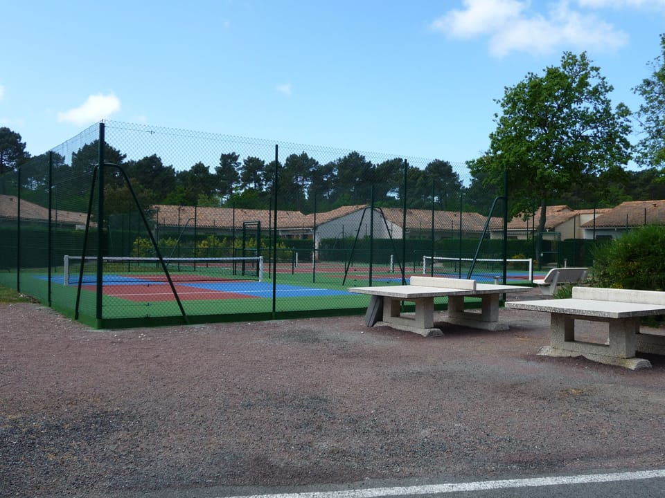 Sport court