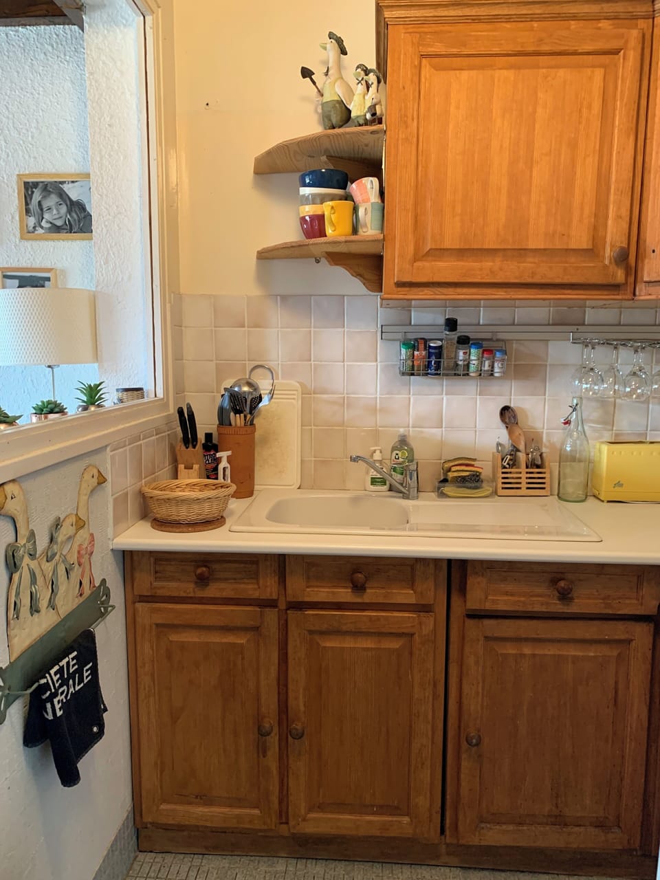 IMG 8221