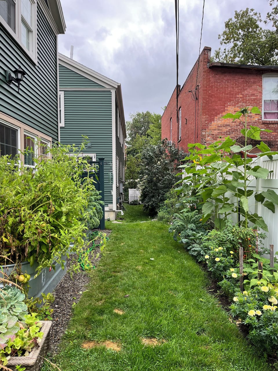 Veggies garden behind carriage house (no entry to carriage house).