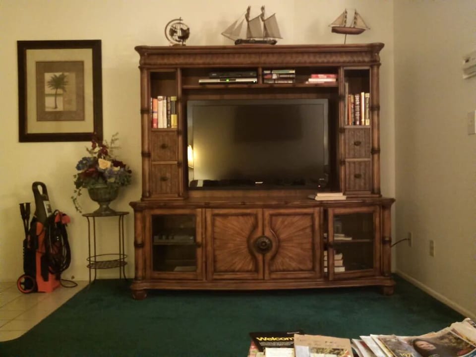 Main livingroom TV