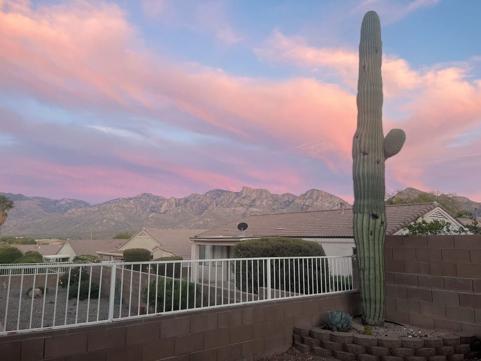 Backyard views