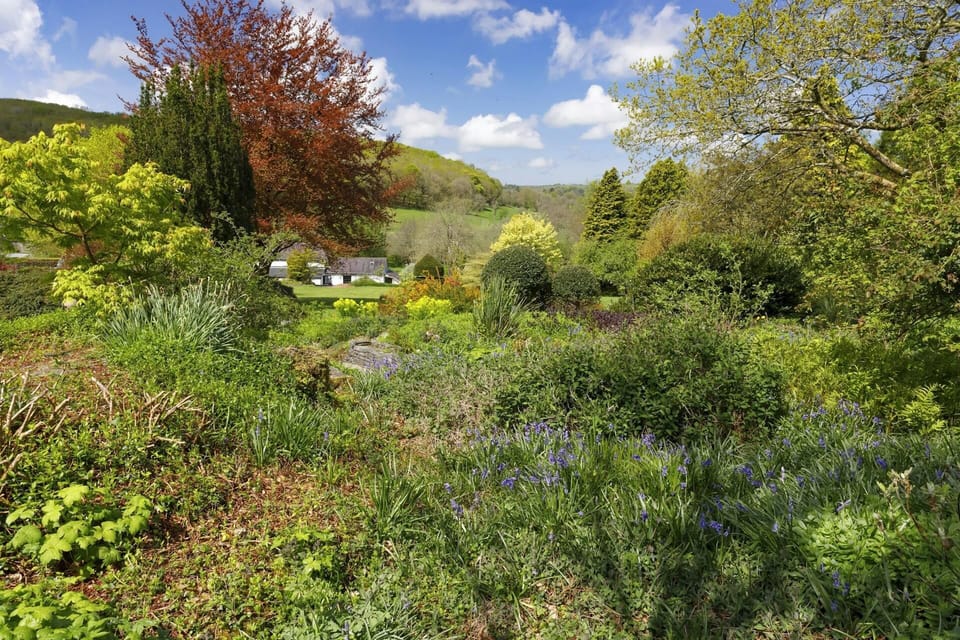 Nearby gardens at Cae Hir, borders, trees and shrubs