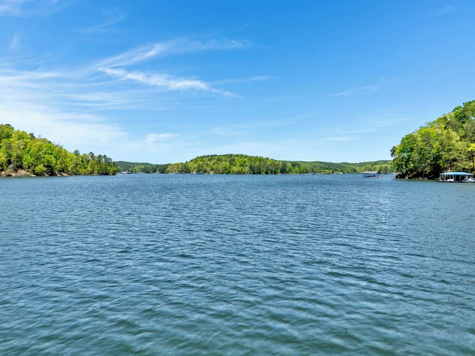 View of the lake 
