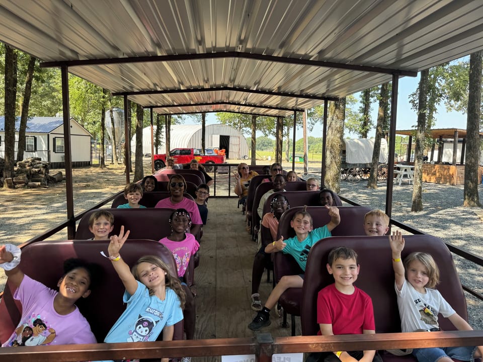 guided safari wagon ride 