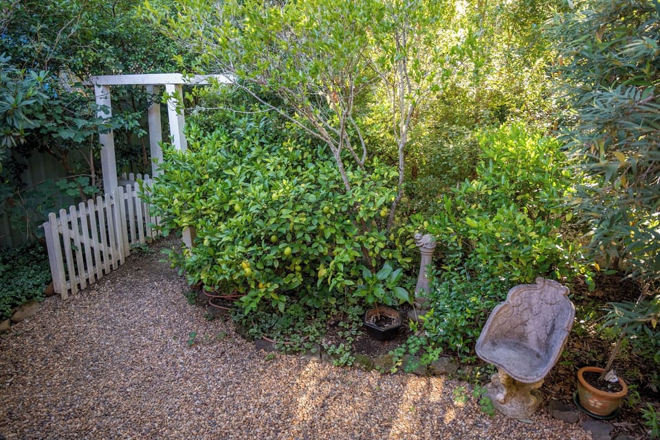 Pathway to Pixie Cottage