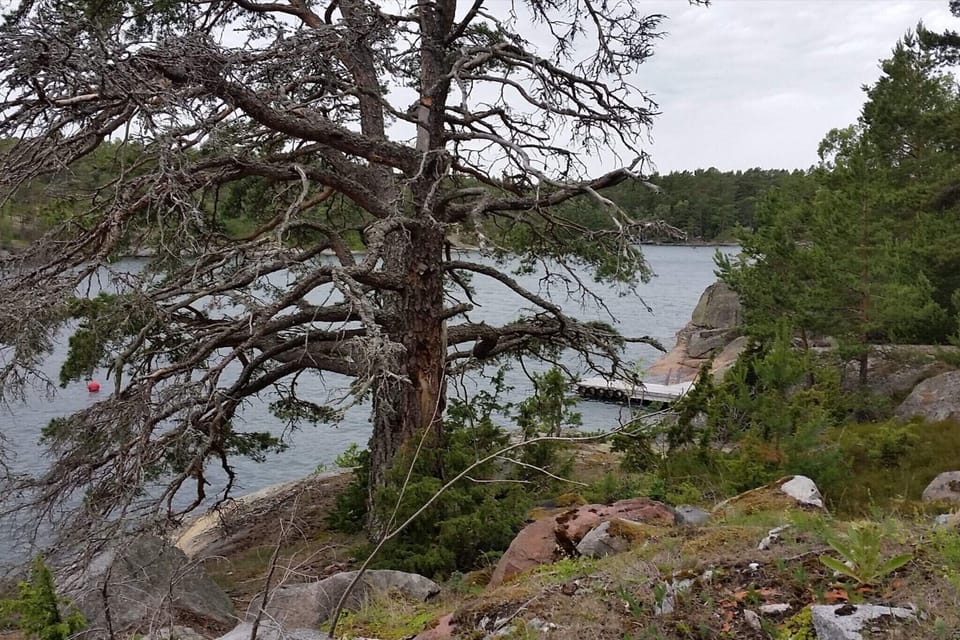 Water view