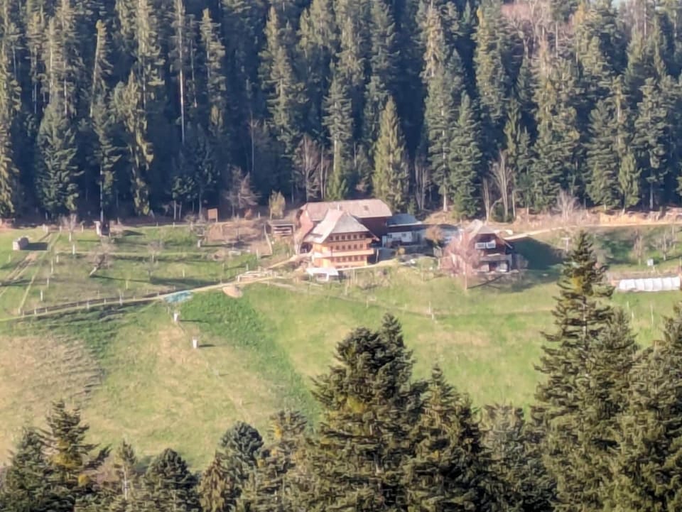 Picture 17