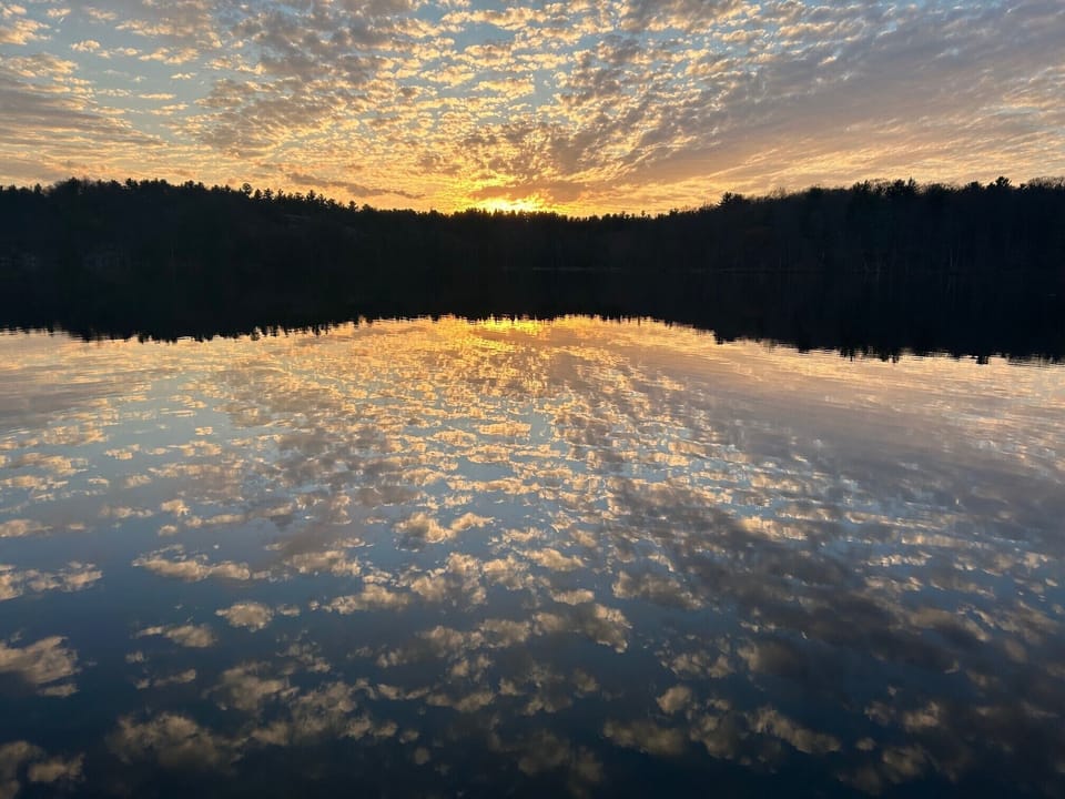 Lake View