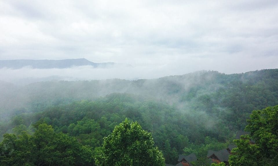 View from Deck