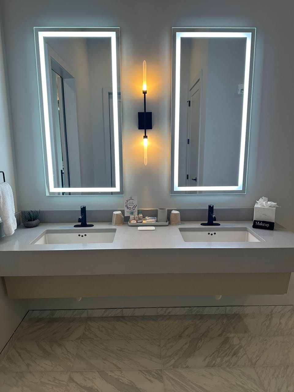 Large Double Sink