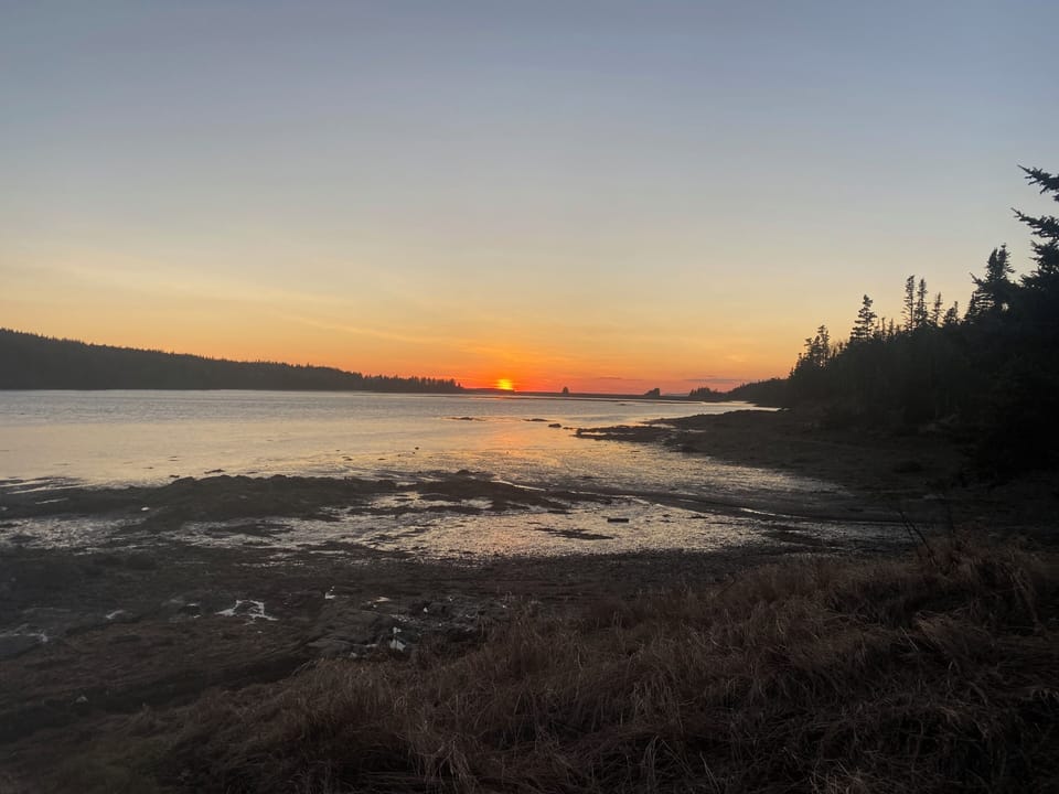 Low tide at sunset