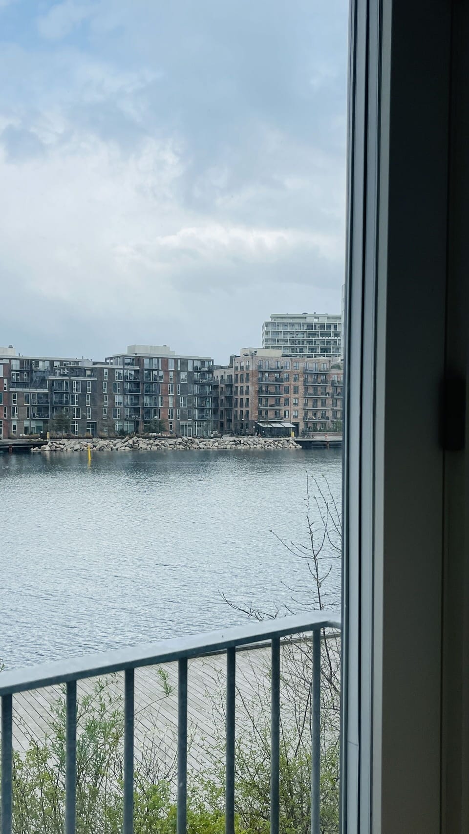 Scenic View