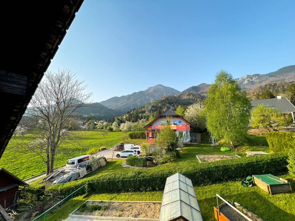 View from room