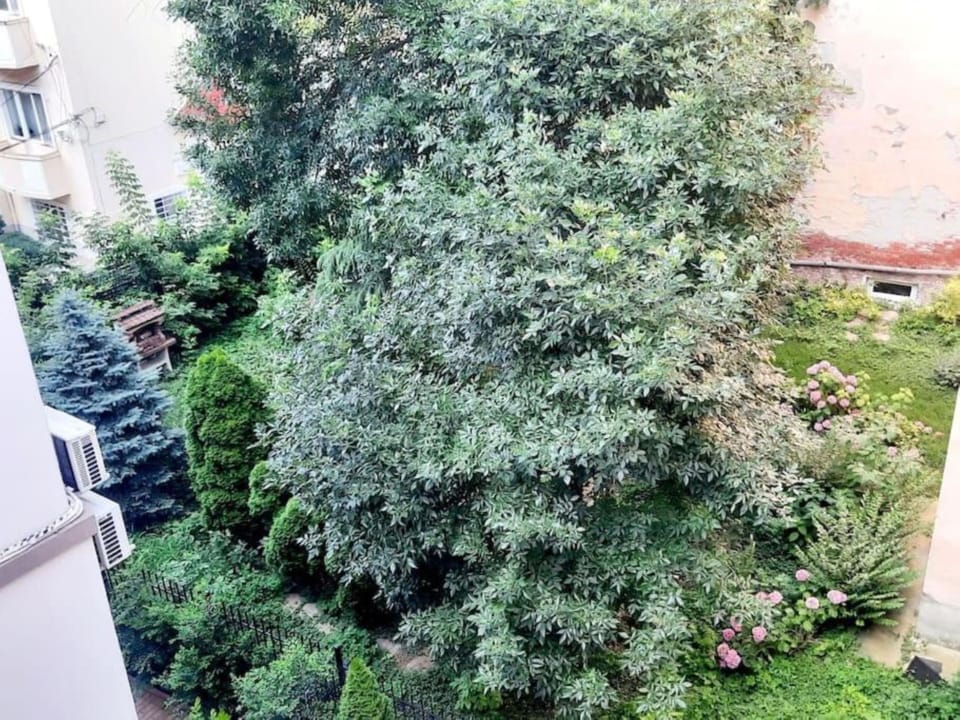 Image 20