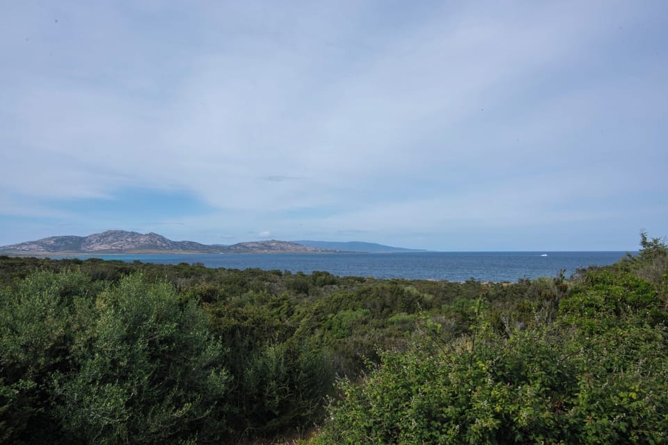 Surroundings