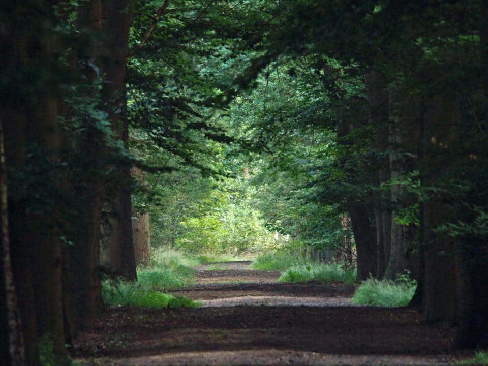 Immediate Surroundings [summer] (<1 km)