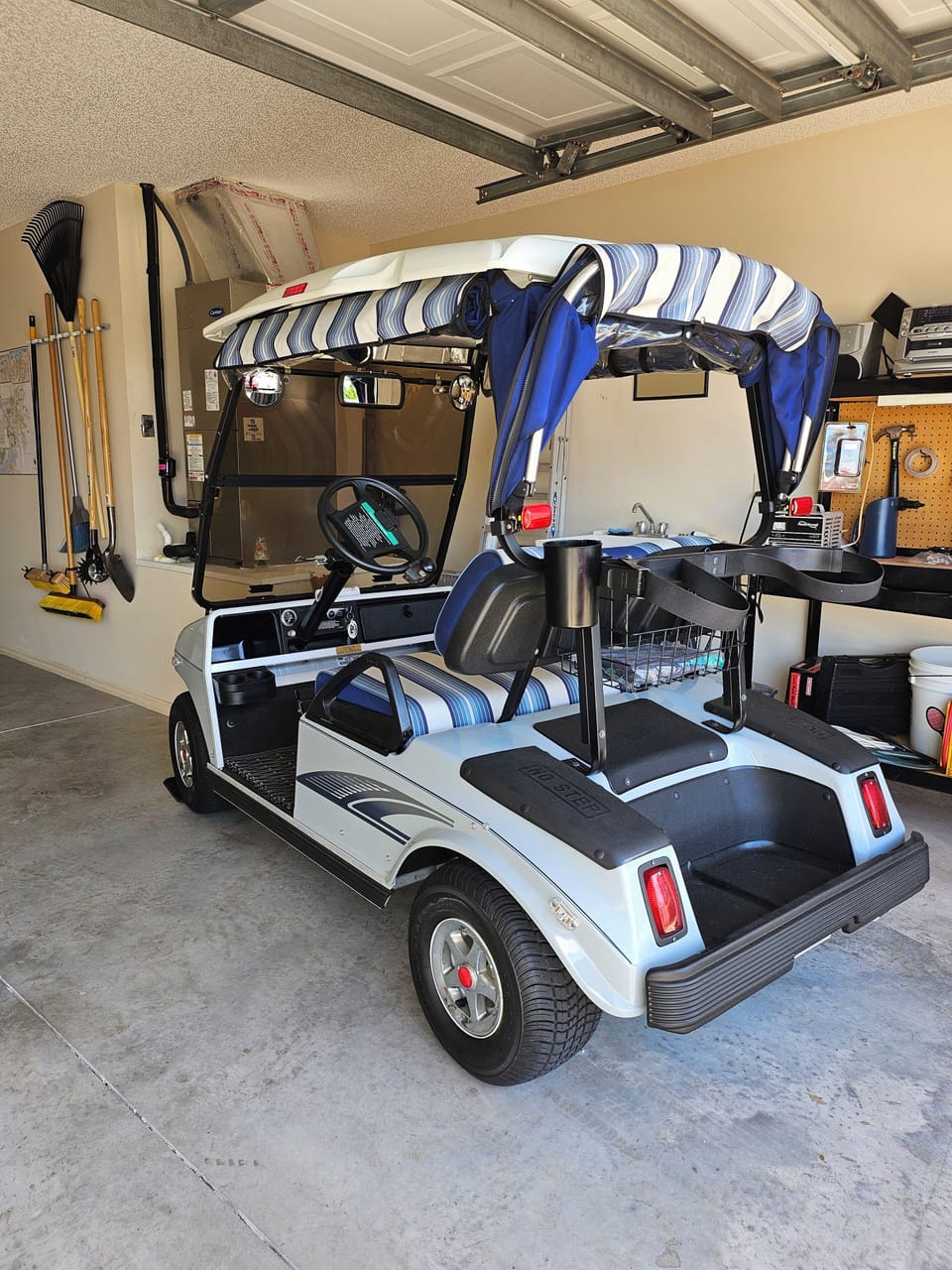 Electric Golf Cart