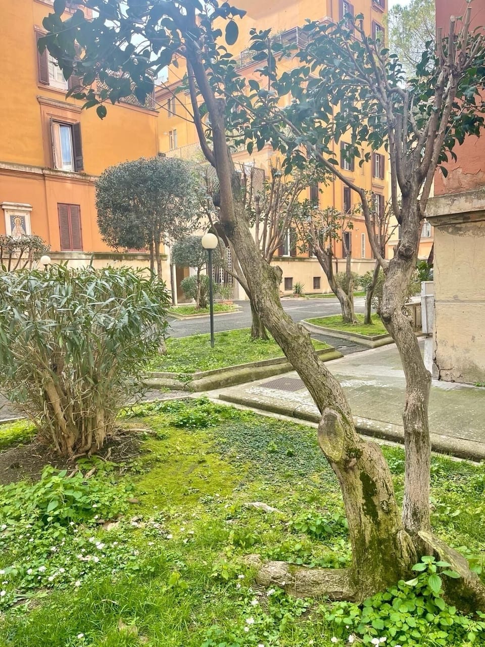 Property grounds