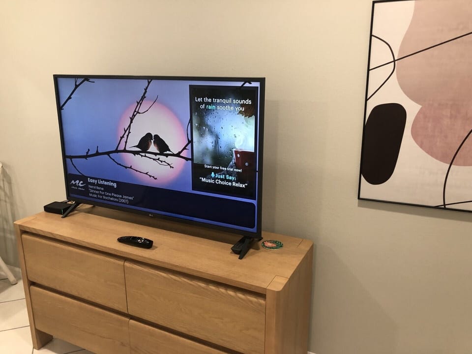 Television
