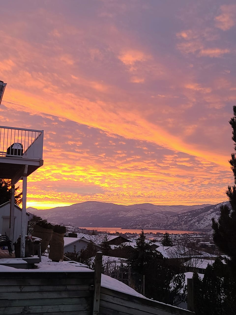 View from property