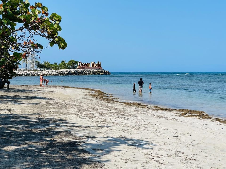 Beach