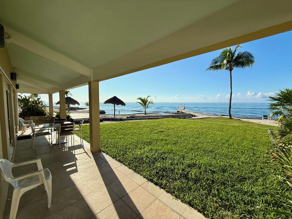 Welcome to Alegria, a word in Spanish meaning joy, happiness and delight! 