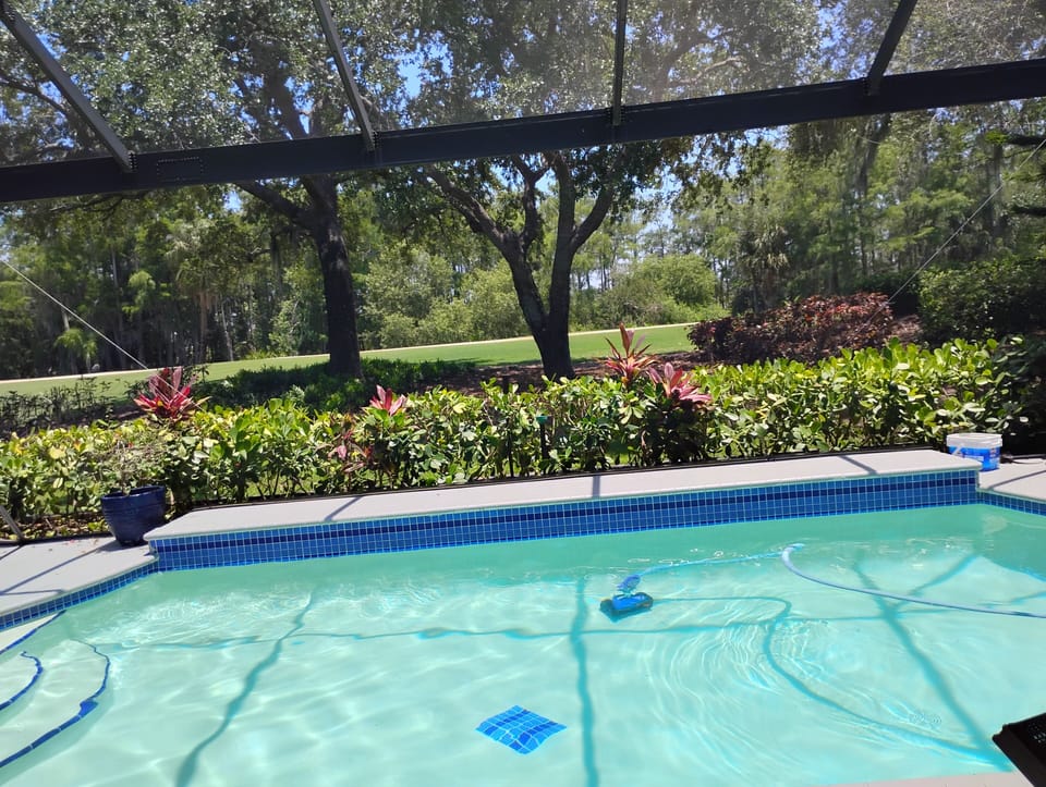 Pool facing golf course