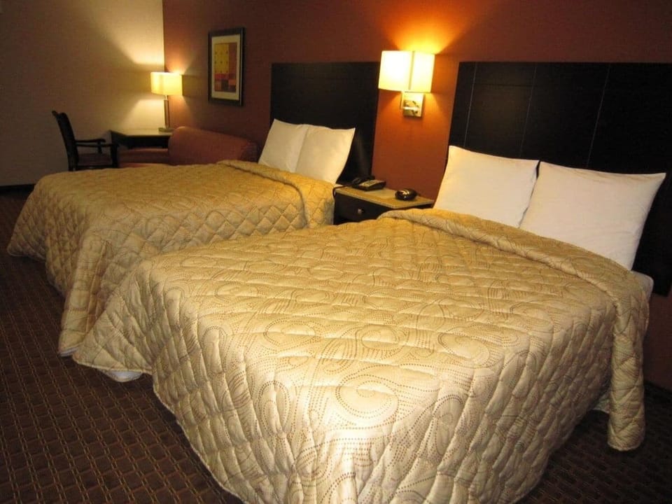 Recharge in cozy beds with warm, inviting evening glow.