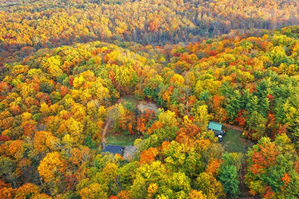 Carp's Cabin (black) and Elwood Loft (green roof) at A Bend in the Road Cabins