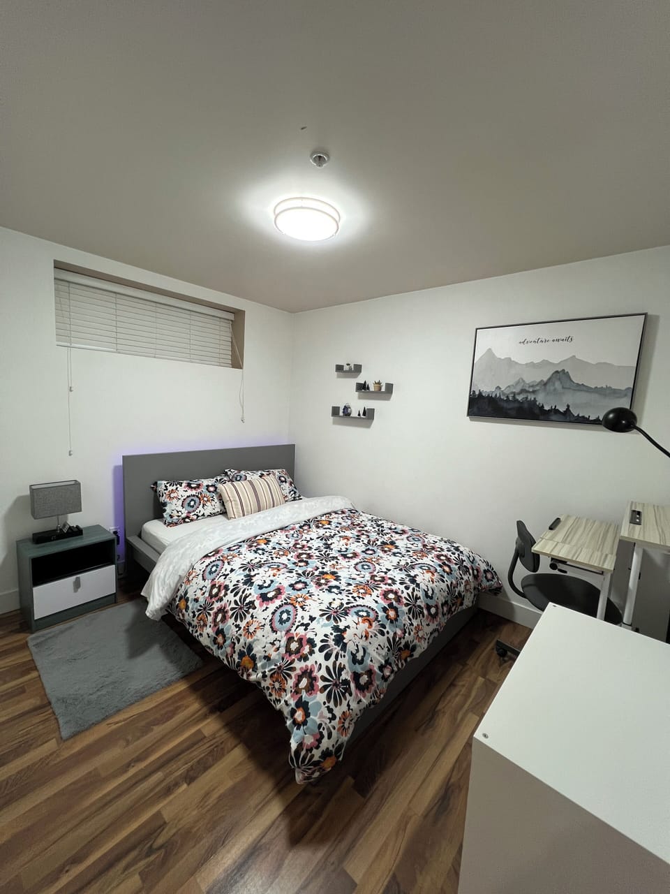 Large room, large closet with queen bed, sit/stand up desk/chair
